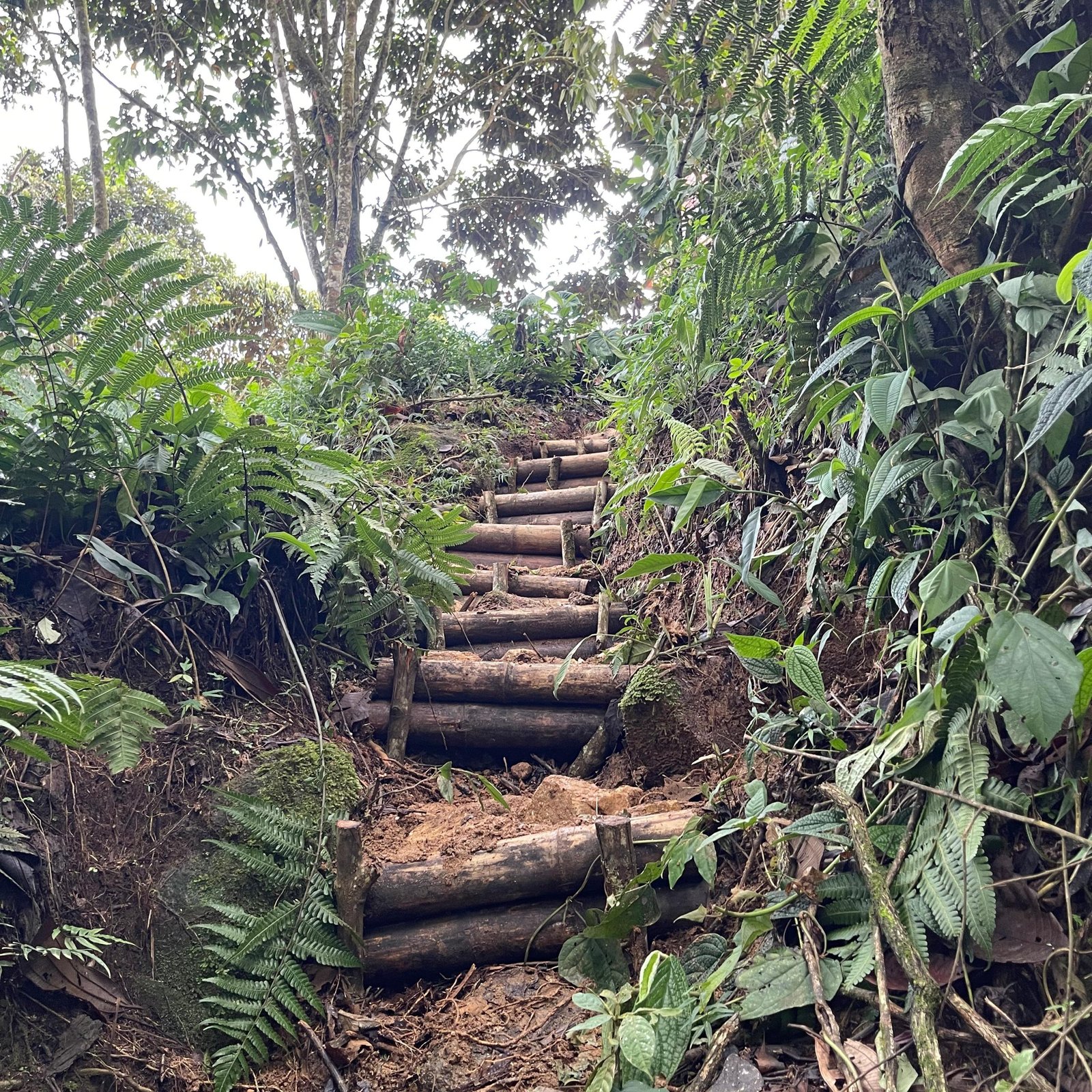 Cabaña vista a la montaña